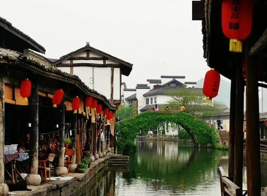 地奥制药:调节血脂,膳食纤维很重要